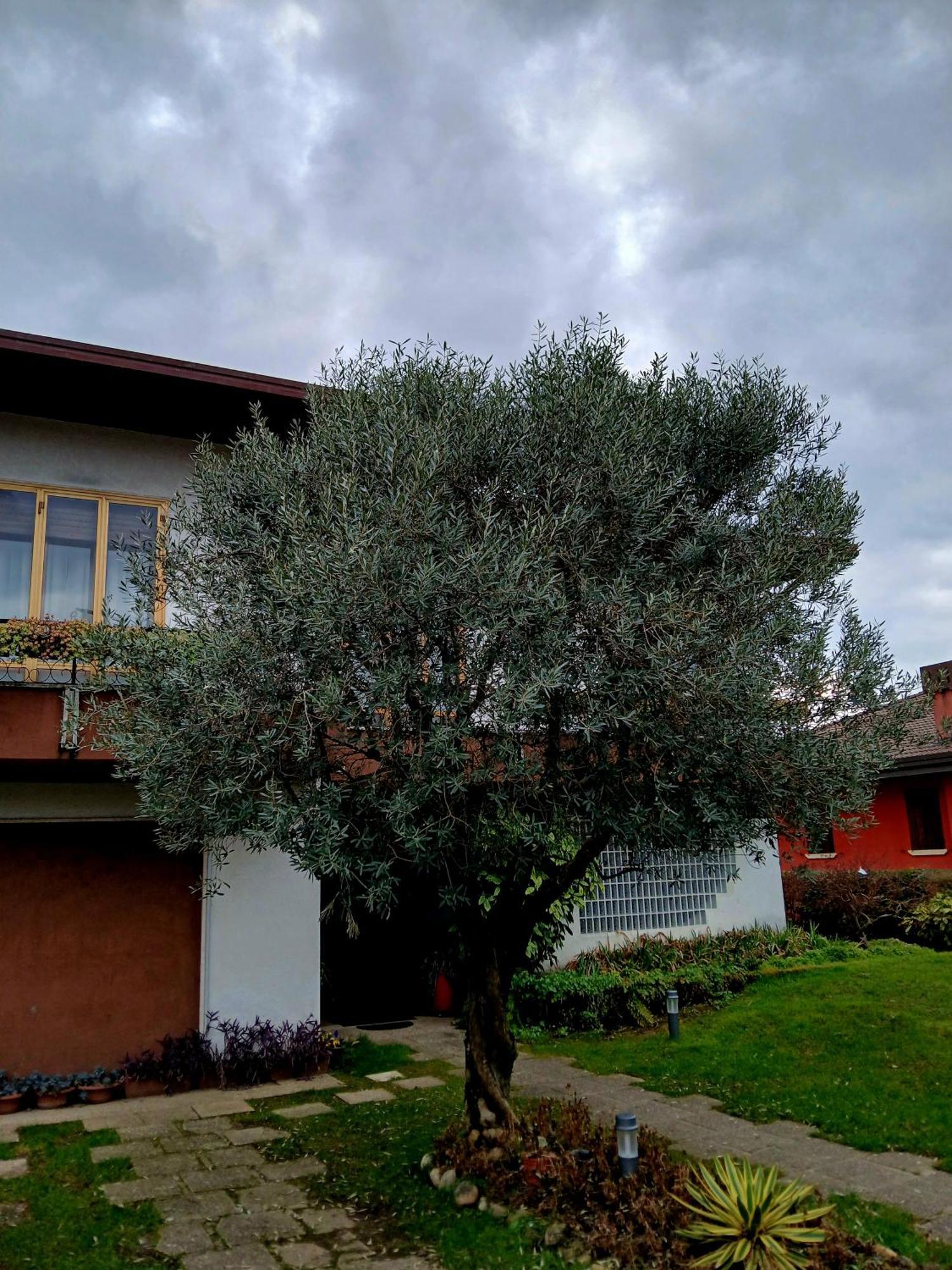 B&B Ponte Marchese Caldogno Екстериор снимка