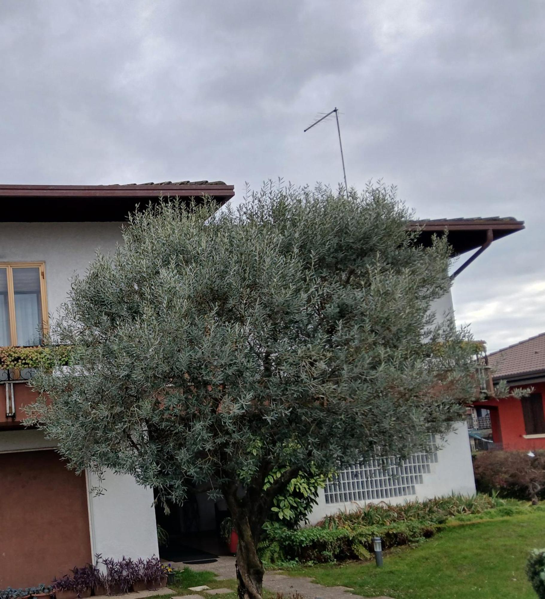 B&B Ponte Marchese Caldogno Екстериор снимка